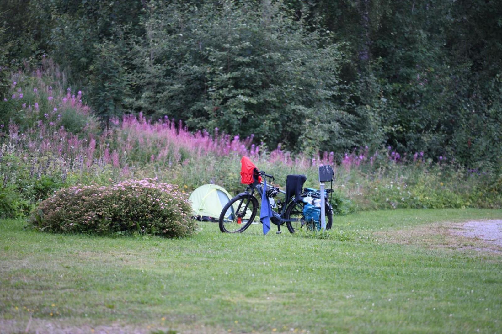 Haennilaensalmi Camping Viitasaari Dış mekan fotoğraf